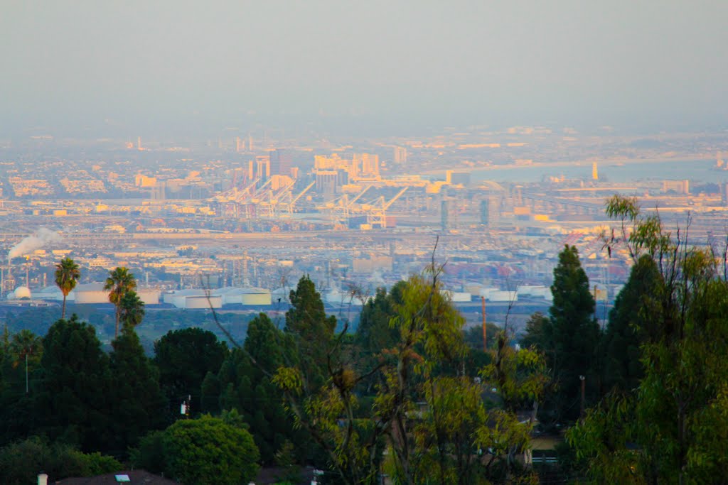 The View from Palos Verde, Los Angeles, CA by MICHAEL  JIROCH  &  www.michaeljiroch.com