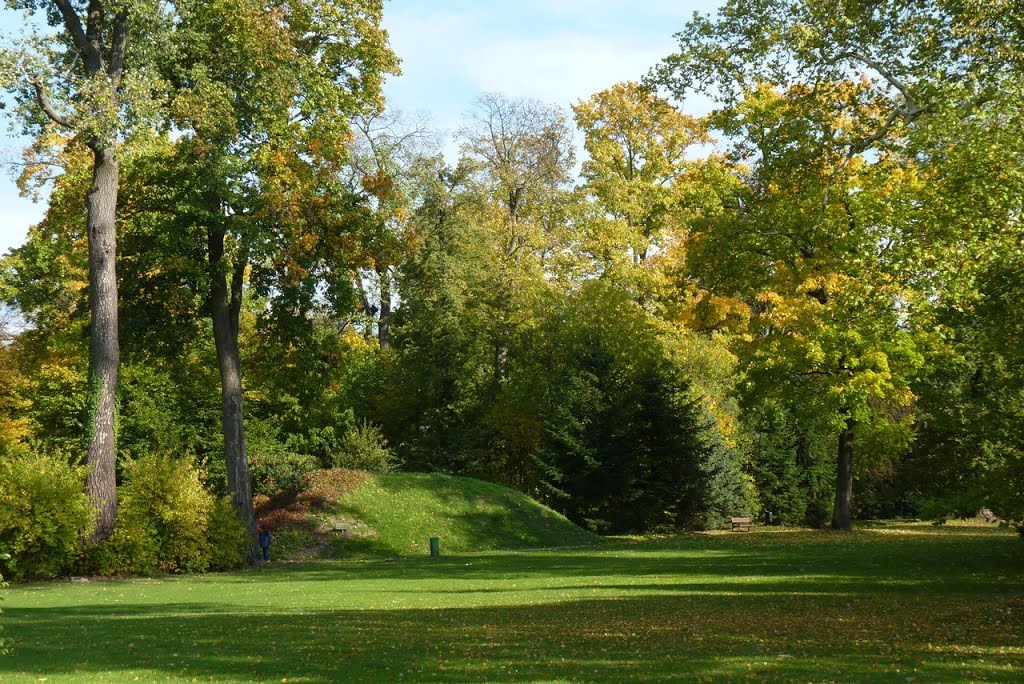 Dobrzyca. Park przy pałacu by Dariusz Domagała