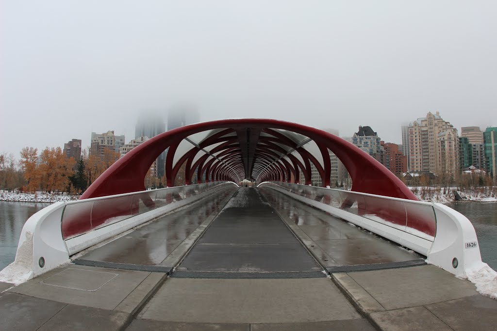 Calgary Alberta-Peace Bridge-Bow River & Downtown in the Fog by cheets99