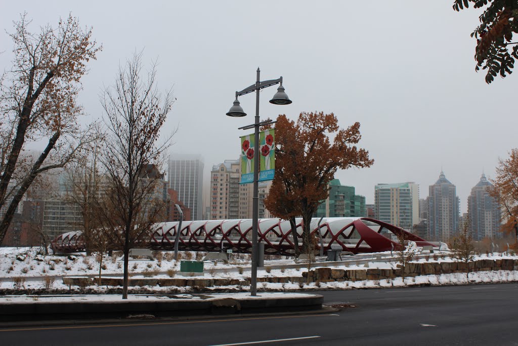 Calgary Alberta- Peace Bridge-Memorial Drive in the Fog by cheets99