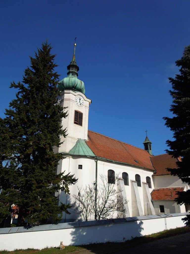 Kostel ve Střelicích - 31.10.2012 by Robin - psí turista