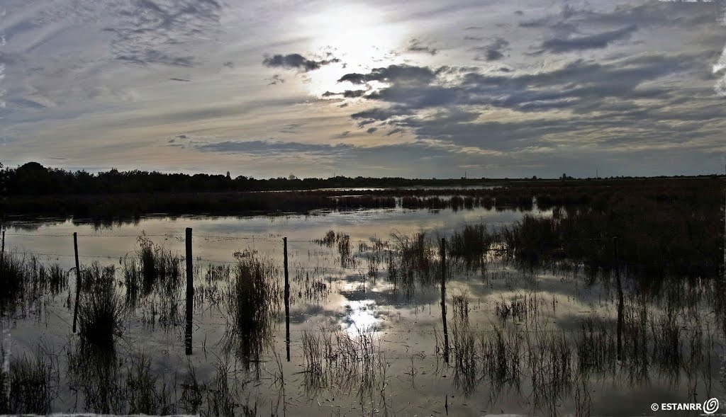 FRANÇA - CAMARGUE Sent Laurenç de Gosa 86513_86514-2 imaTges 37ºX22º by © ESTANRR