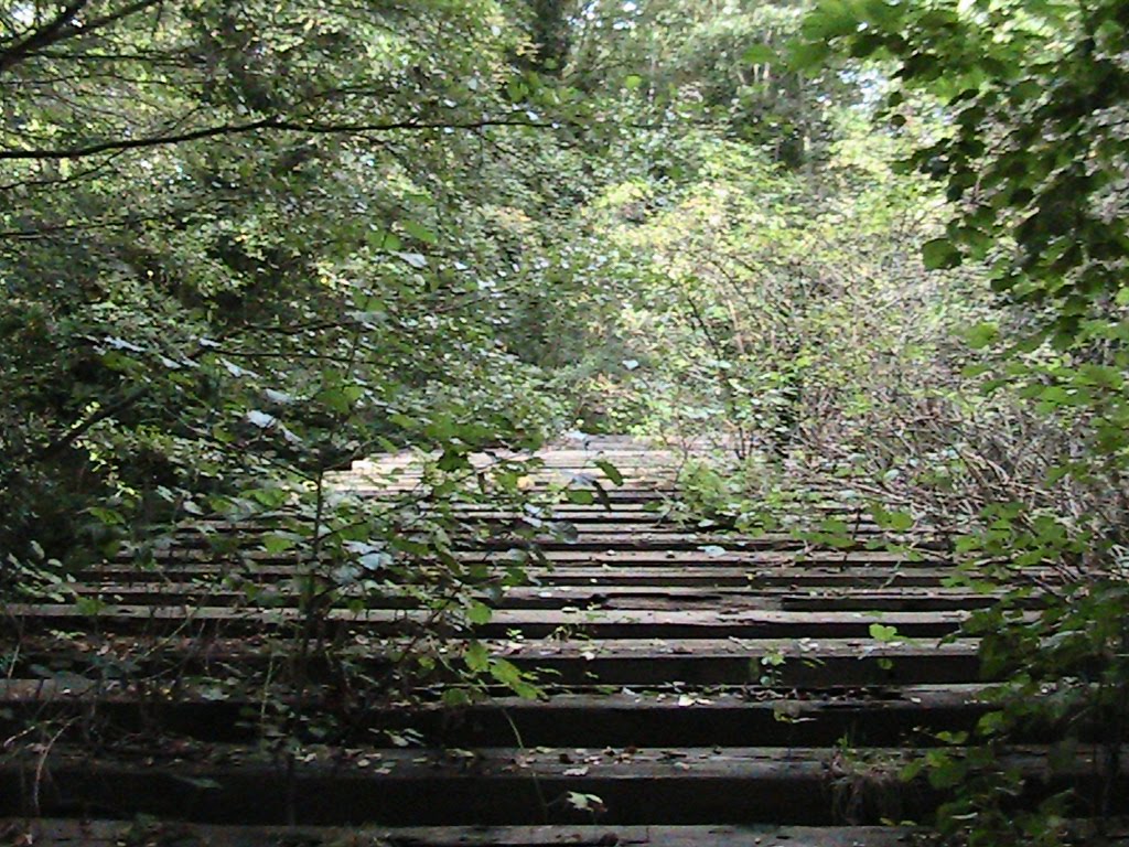 Trestle Viaduct Wickham Bishops by Andrewwing