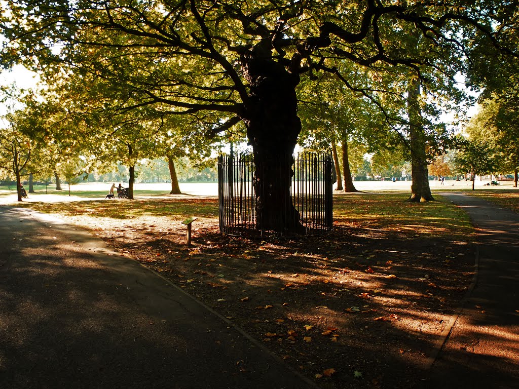 Autumn In Queens Park by trevor leighton