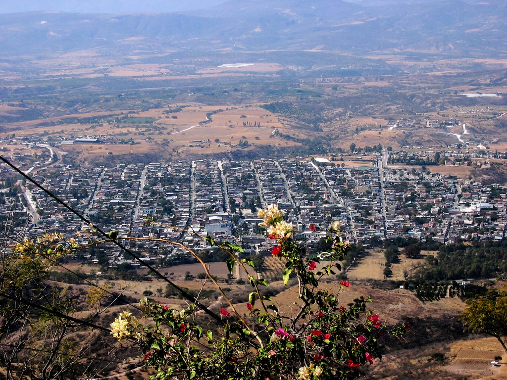 Jalpa Zacatecas by Francisco Javier Pal…