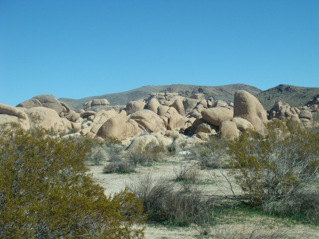 Rounded Granitic Outcrops in Joshua Tree National Park by George King