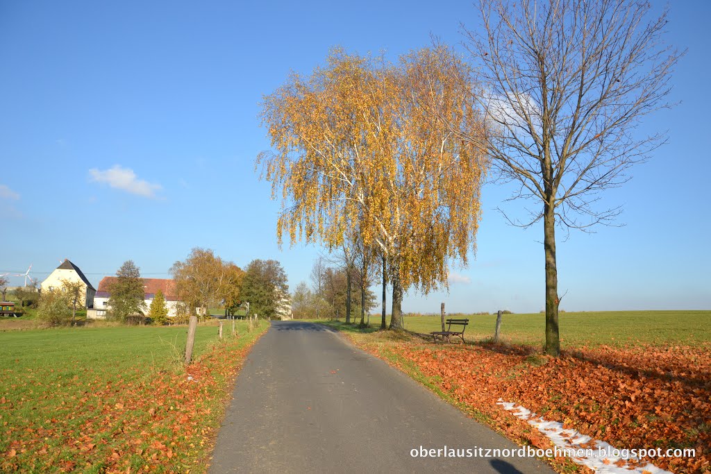 Herbst an der Straße zum Eckartsberger Dorfmuseum by Robert Knothe