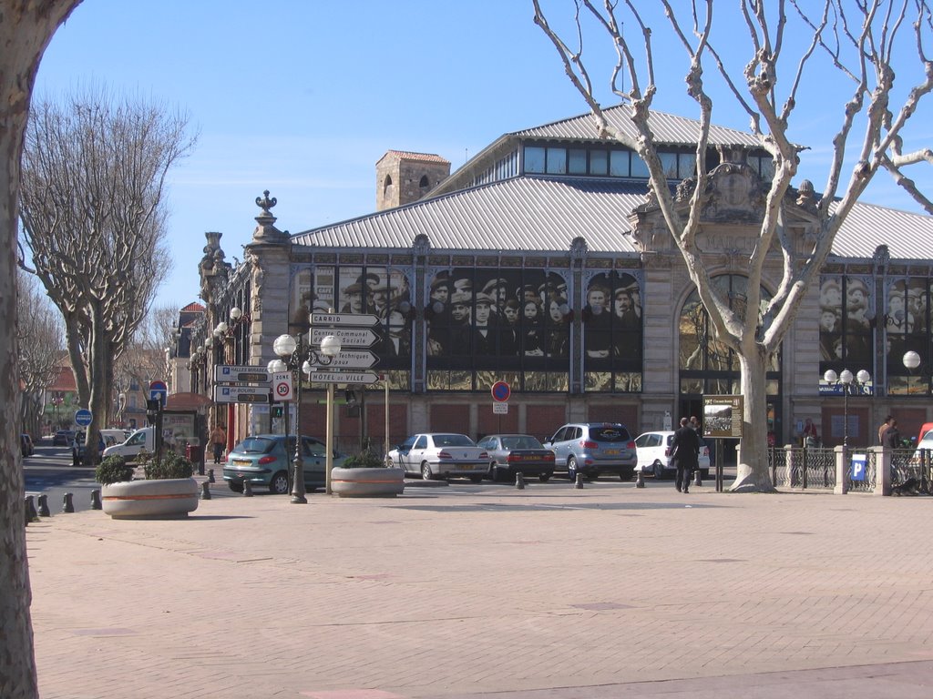 Les Halles style Baltard de Narbonne by alpaga13