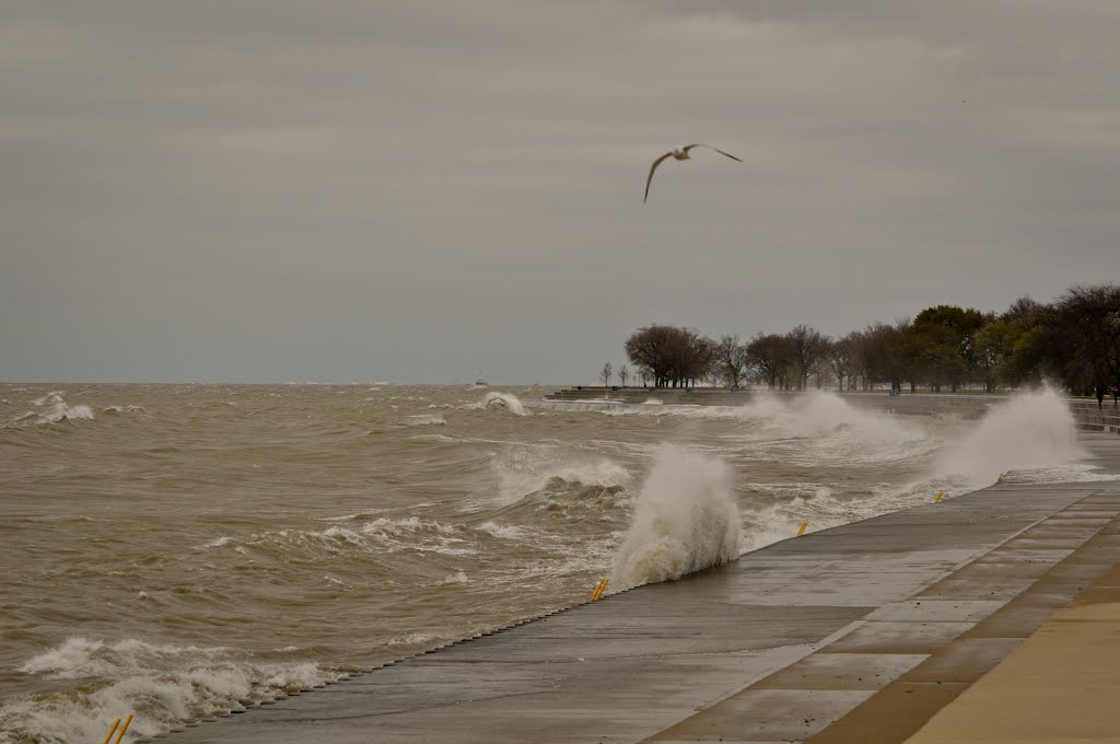 Waves from Superstorm Sandy in Lake Michigan by Richard Mobley