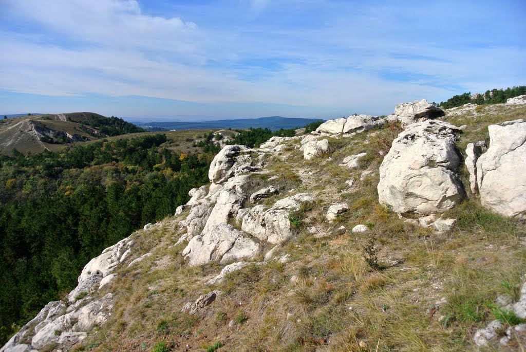 BUDAÖRS by Mojzer  László