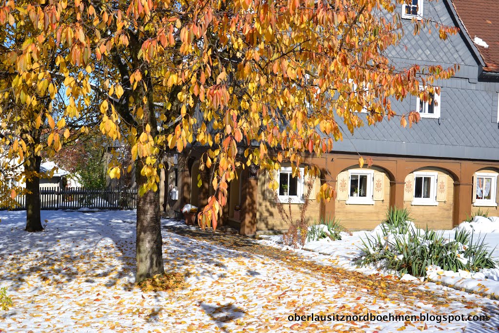 Winterlicher Herbst in Obercunnersdorf by Robert Knothe