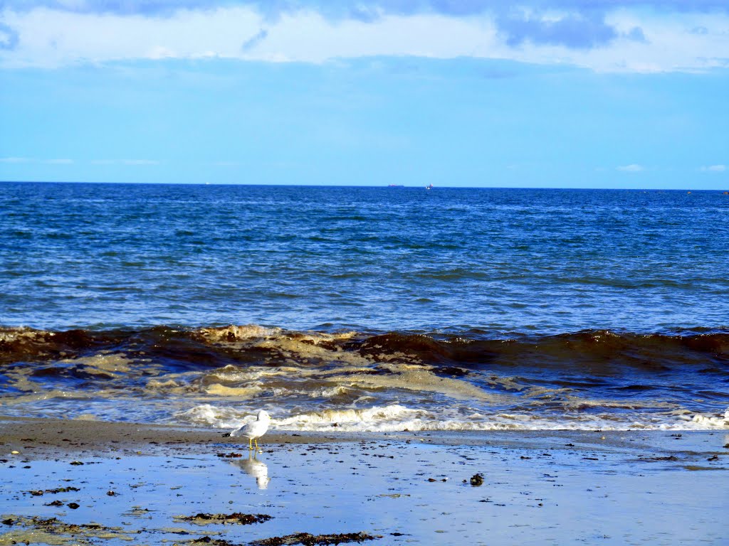 Revere Beach by MementoMori