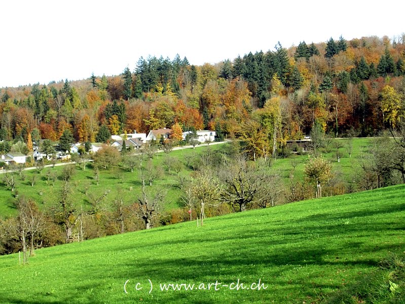 Heiteren Platz, Zofingen by PaDö