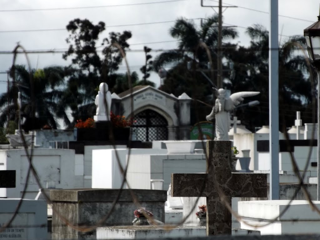 Cementerio General tras la alambrada by LUIS PALMA