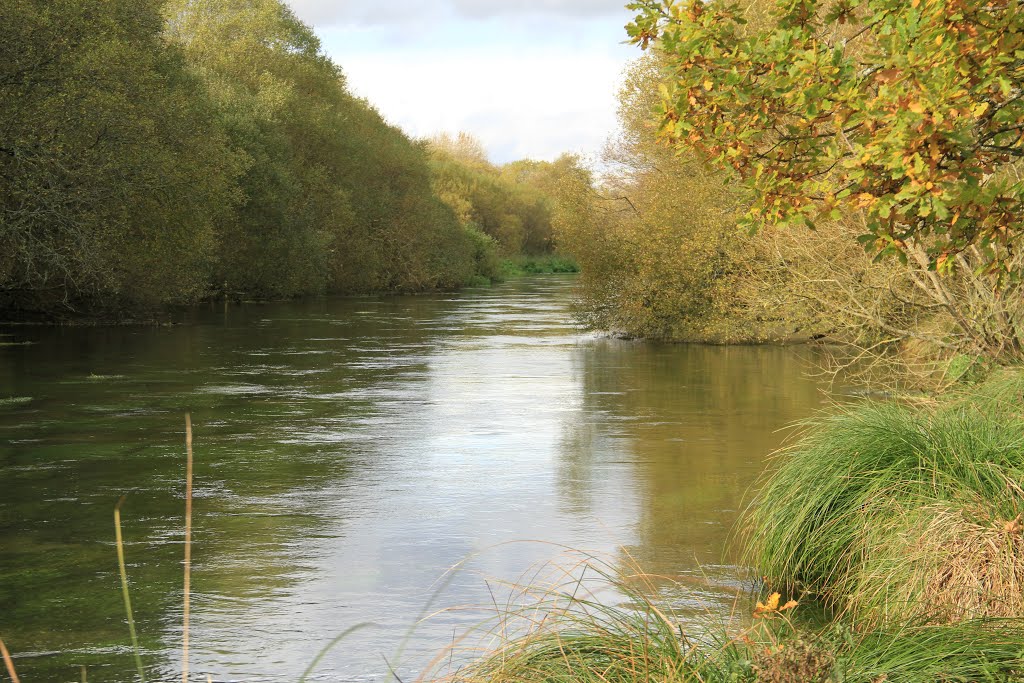 River Itchen by SBower