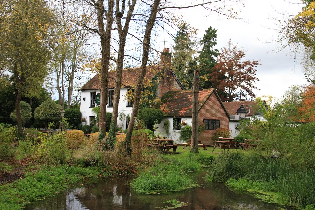 Bush Inn at Ovington by SBower