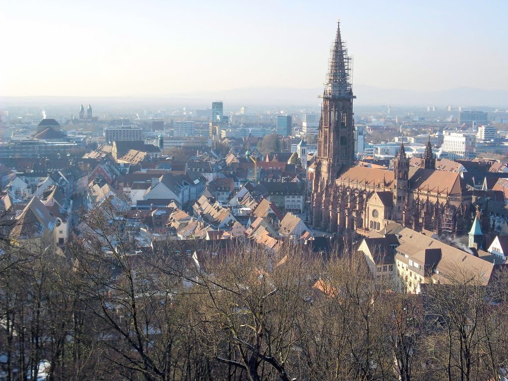 2012.02-Freiburg by dawx