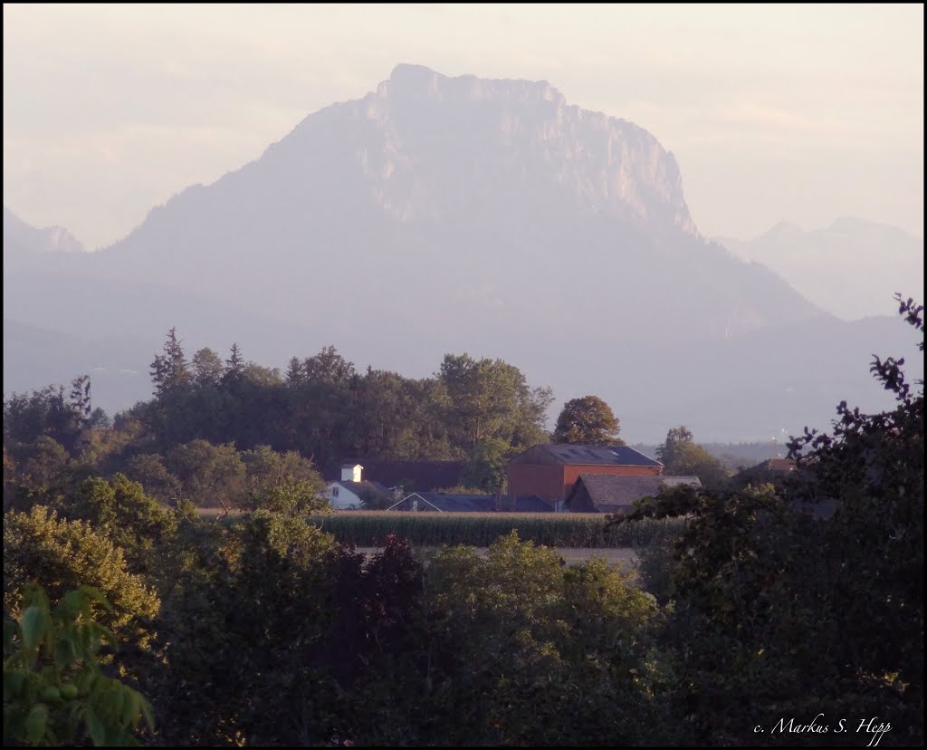 Traunstein, Blick von der Marienwarte by Hepp Markus