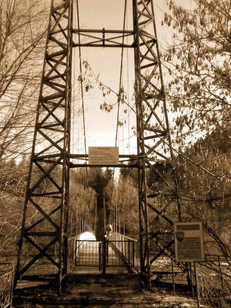 The Suspended Bridge over Moldova River by metraveler