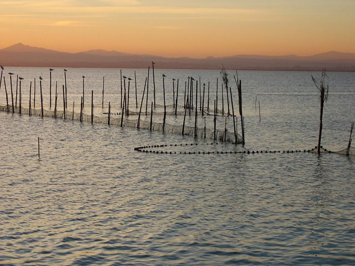 L'Albufera de València by Ramón Sobrino Torren…