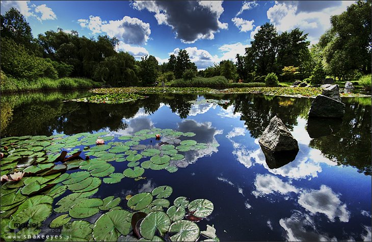 Łódzki Ogród Botaniczny by snake-eyes