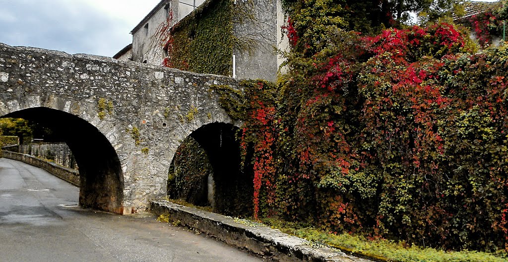 Puy-l'Évêque......Couleurs de l'automne...Rue de la Cale. by Feika