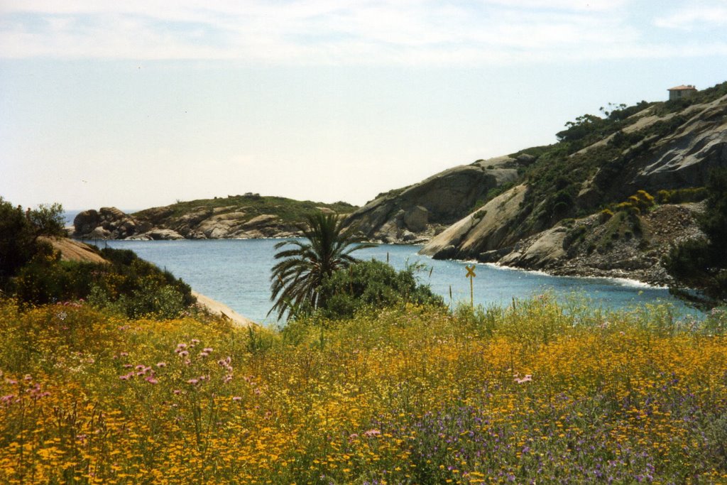 Isola del Giglio2 by Terry