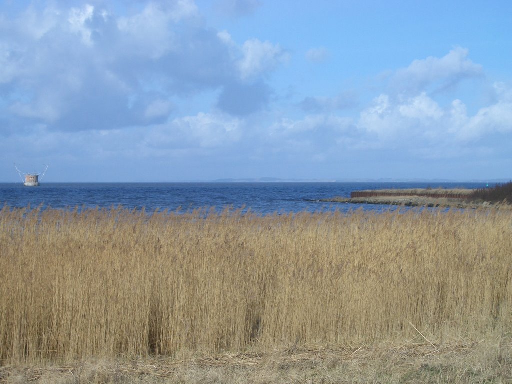 Rollbahnverlängerung ins Meer by Steinbock-FeWo