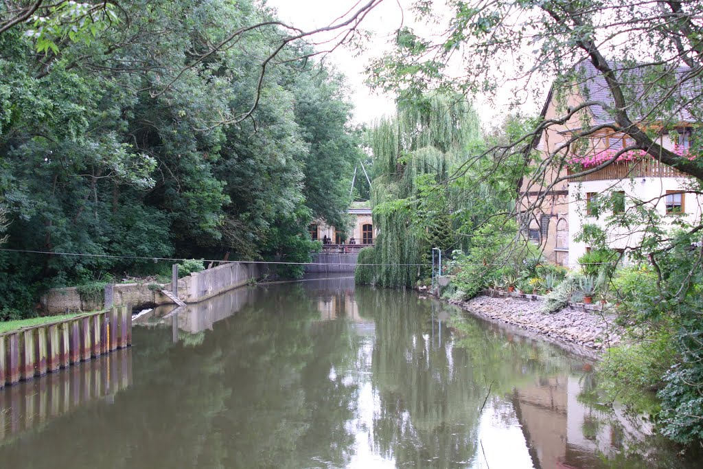 Schlosspark Lützschena by chlabnet