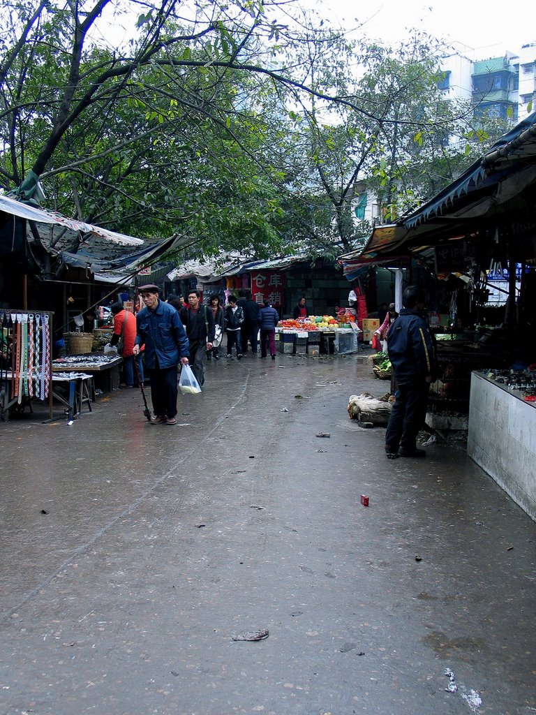 Nameless alley.ShiXiao Road.JiuLongPo District.ChongQing Municipality.China(中国重庆市九龙坡区石小路无名小巷)BY LiV 2008.02 by Fan Li