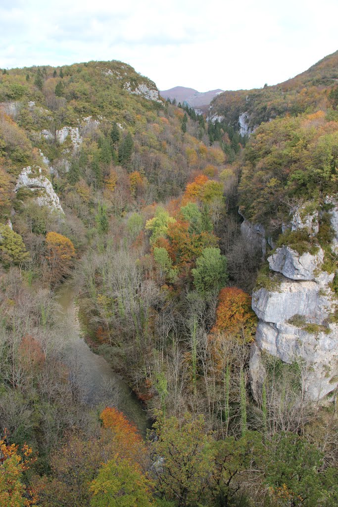 Gorges de la Valserine by 6004592