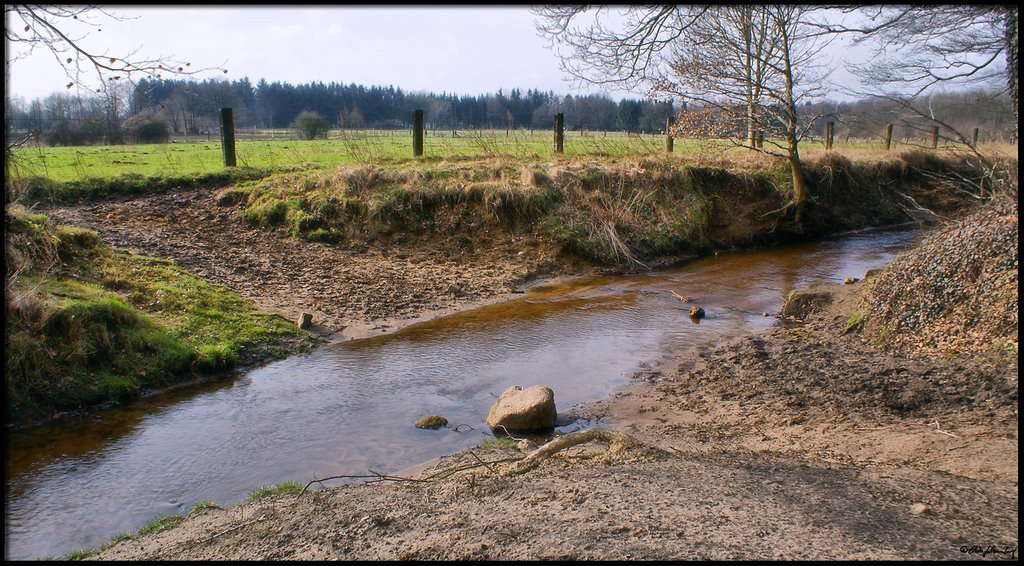 Februar 2008 - im Rantzauer Forst by Gutzemberg