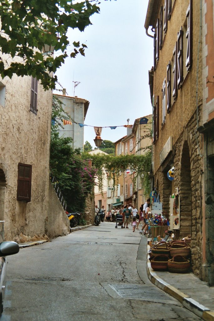 One of the shoppingstreets in Bormes Les Mimosas by tinawaldo