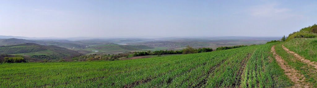 Вид на юг, юго-запад. Видно село Цигира, а левее - немного просматривается с.Кошень. by LeanElk