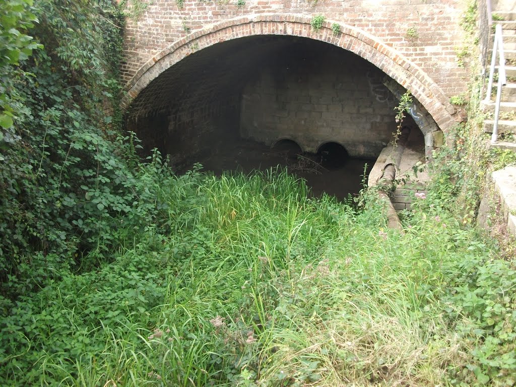 Bowbridge culvert by Graham Sinnett