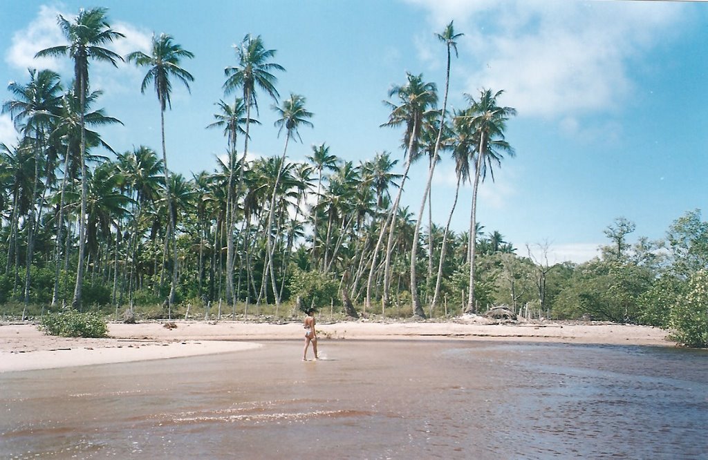 Final da 4ª praia by Fernando Novaes