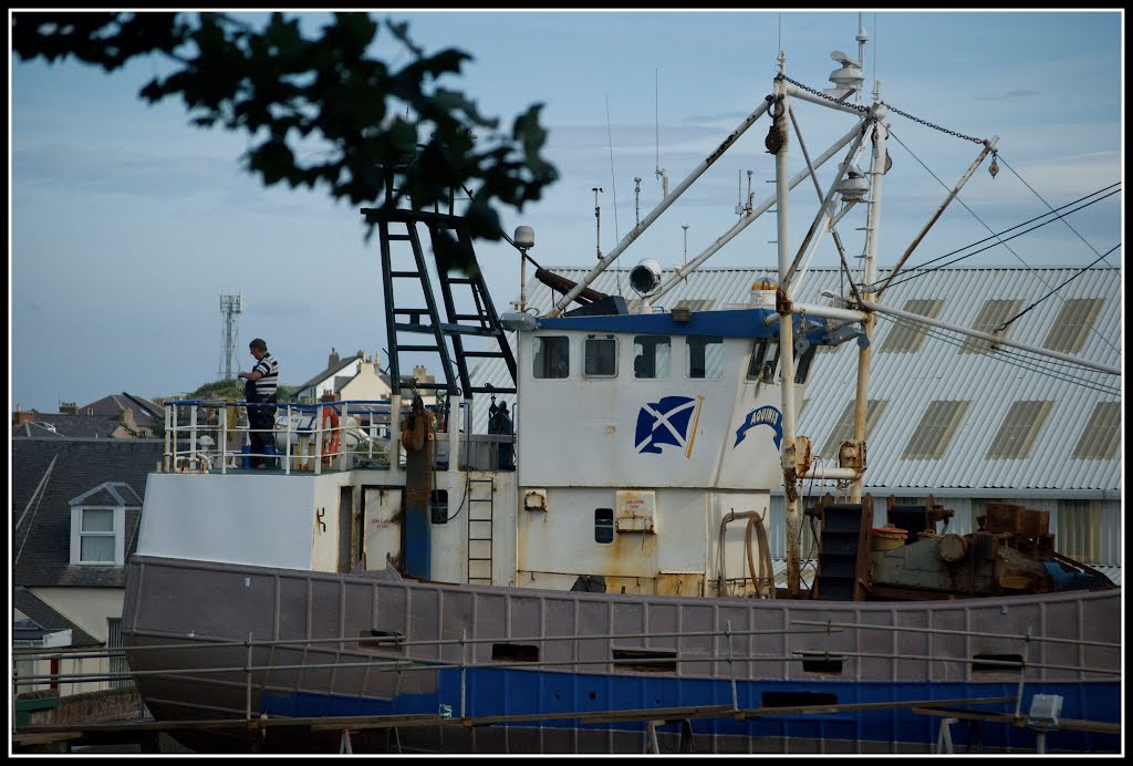 Girvan Harbour by Balocco