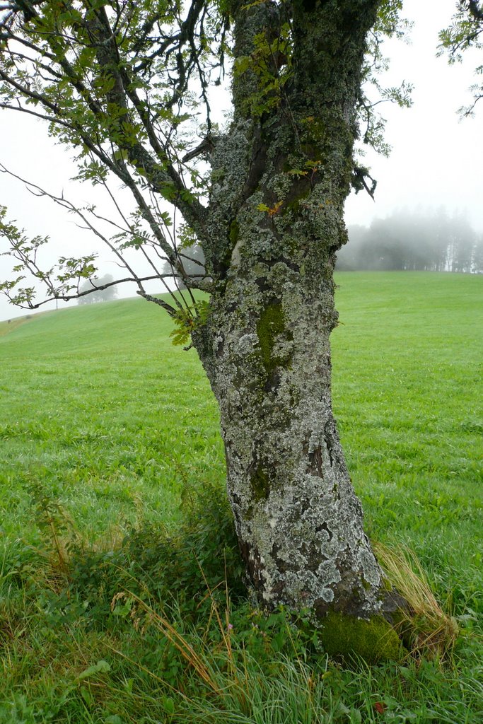 Auf der Ebene by Der SIGGY