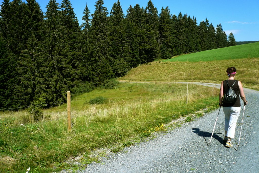 Richtung Schweinebachtal by © DerSIGGY