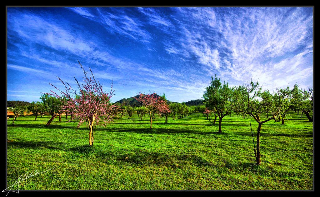 Felanitx - Mallorca - Illes Balears - Buy a print in - http://cafate.blogspot.com/ by © Cafate