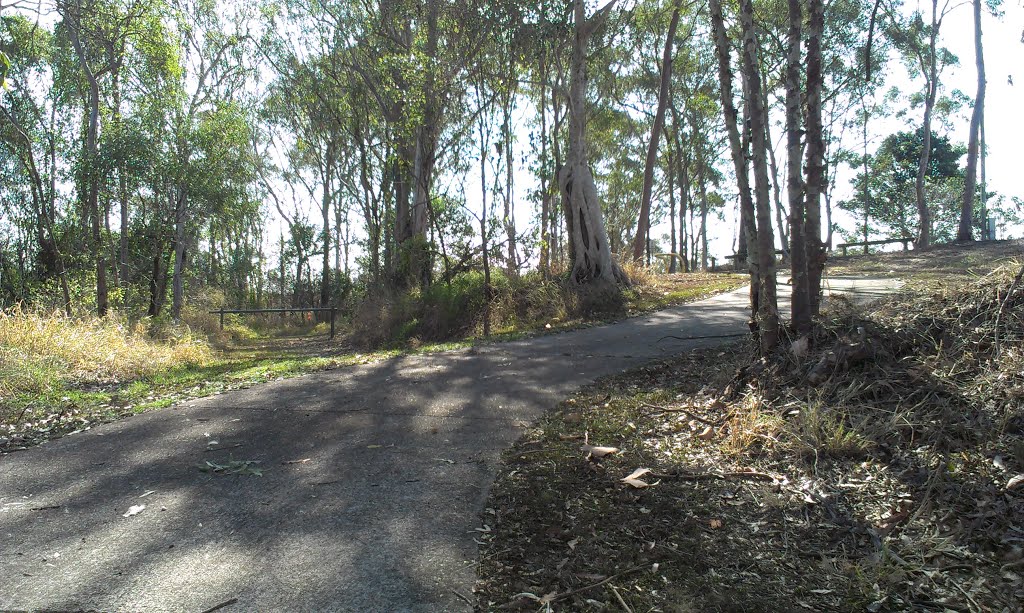 Path joining Else Avenue with Moggill Road by Patrick Wood