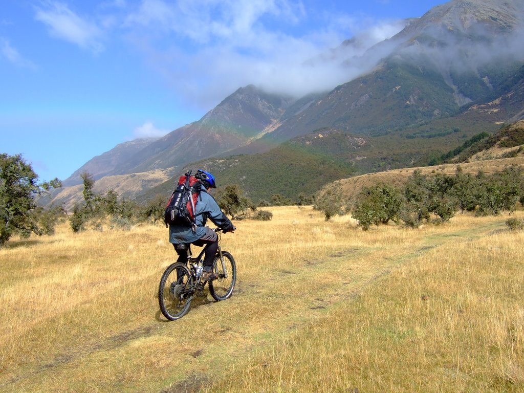 Hope Kiwi Saddle, Lake Sumner, South Island, New Zealand by darrentatom