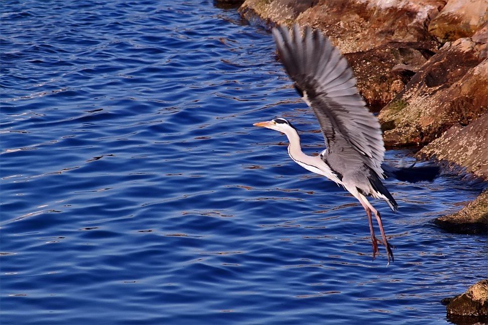 Escapada,,,, by jose vazquezjosedeme…