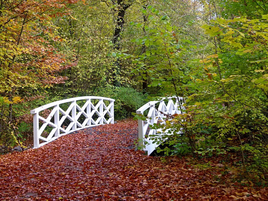 Kleine Brücke im Herbst by Farlang