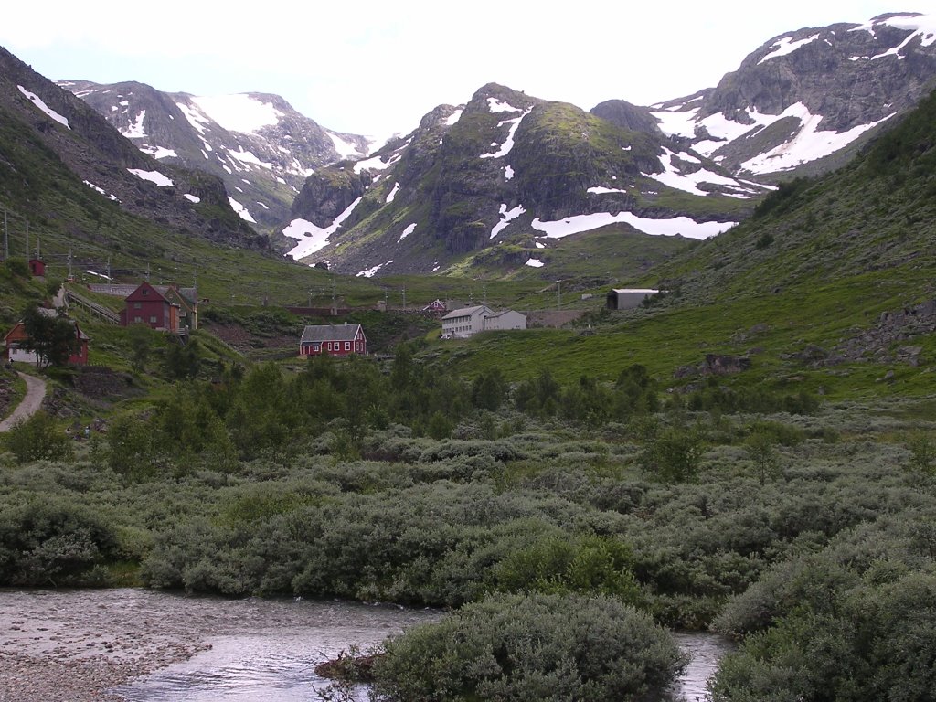 Flåmsdalen, Myrdal (Norway), summer 2005 by rdaniel