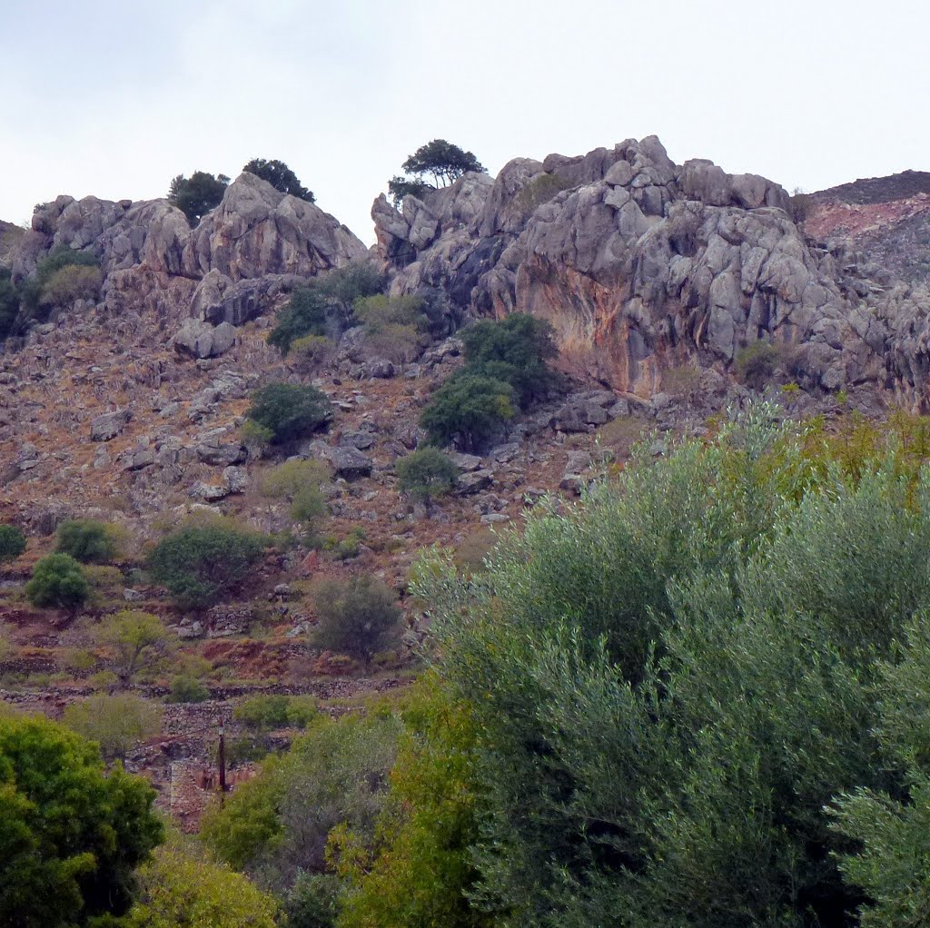 Tilos. Livadia by Maximovich Nikolay