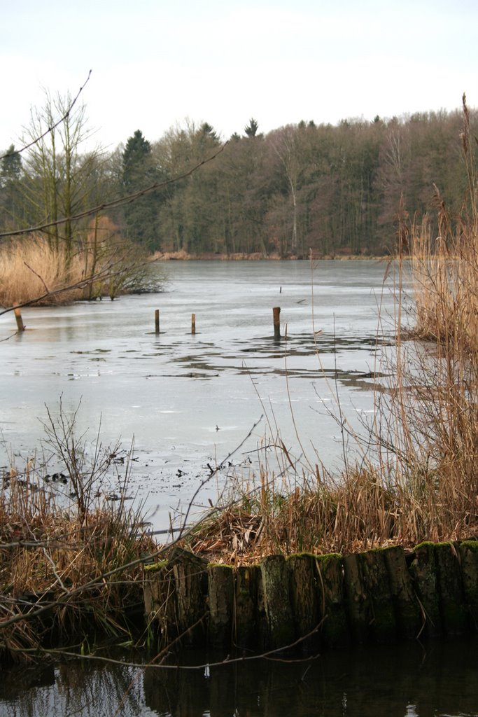 Winter am Appelbecker See 18.02.2006 by picotuna