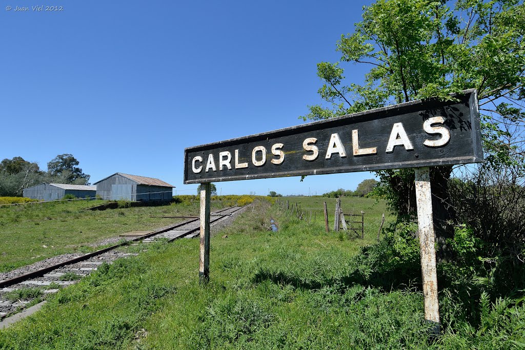 Carlos Salas by Juan Viel