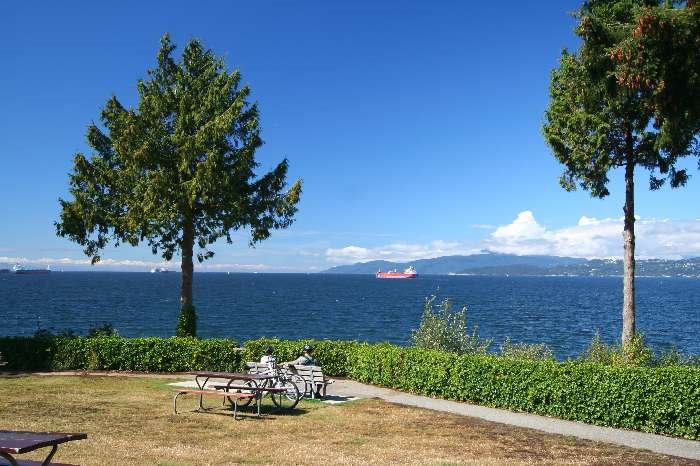 Stanley Park by Frank Merfort