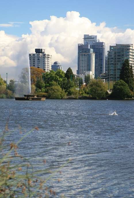 Lost Lagoon by Frank Merfort